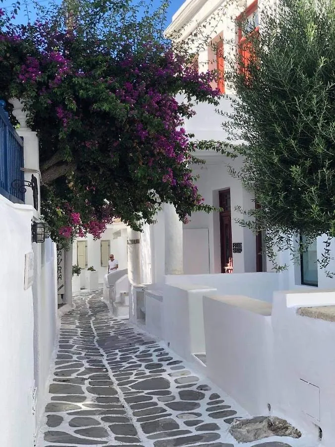 Hidden Serenity Mykonos Town Görögország