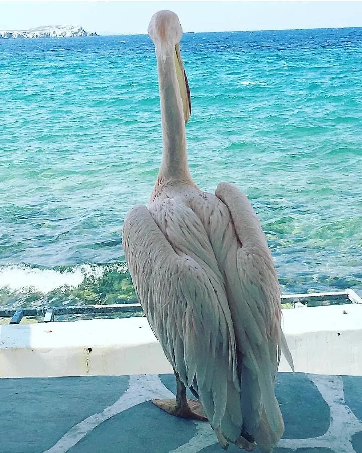 Apartman Hidden Serenity Mykonos Town